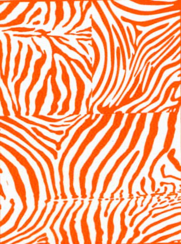 Zebra Skin Trio Silkscreen